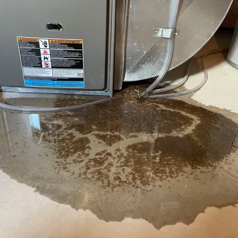 Appliance Leak Cleanup in Kohler, WI